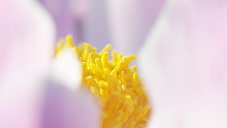 1588644802340266.png 微信圖片_20200505100954.png